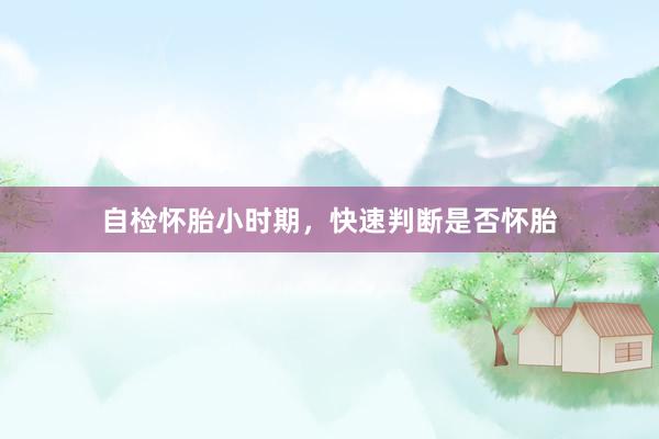 自检怀胎小时期，快速判断是否怀胎