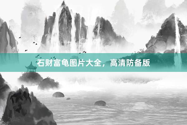 石财富龟图片大全，高清防备版